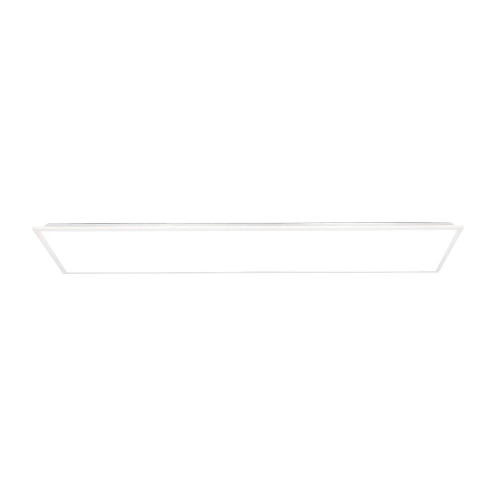 241476.jpg